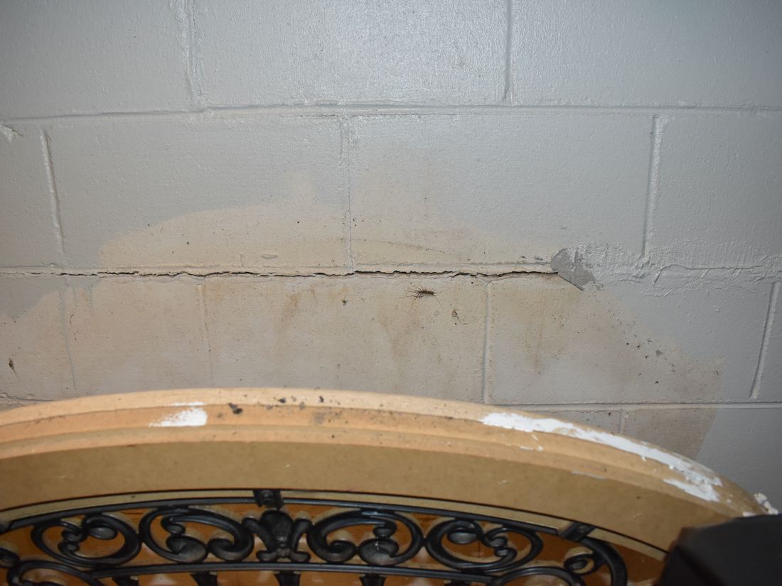 Horizontal crack in the north basement wall