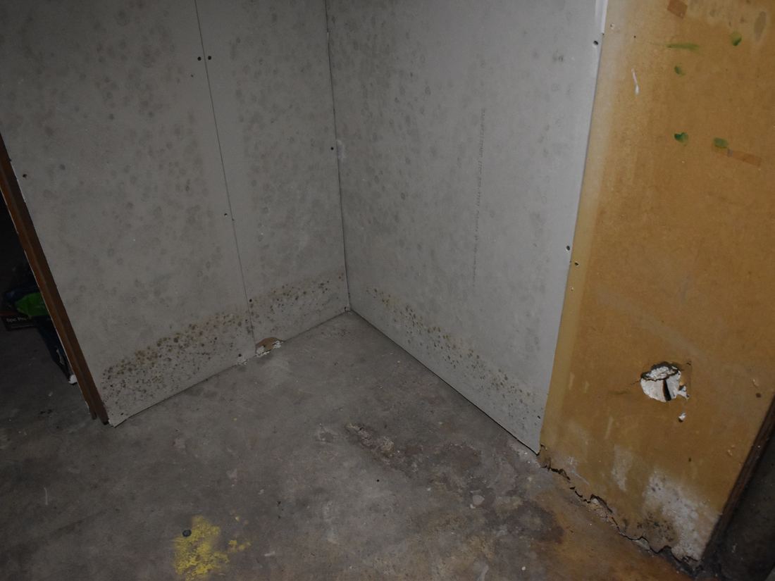 Mold-damaged basement drywall in the St. Francis property