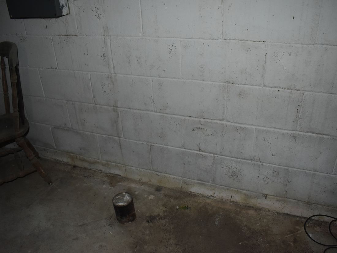 Basement wall showing evidence of water seepage